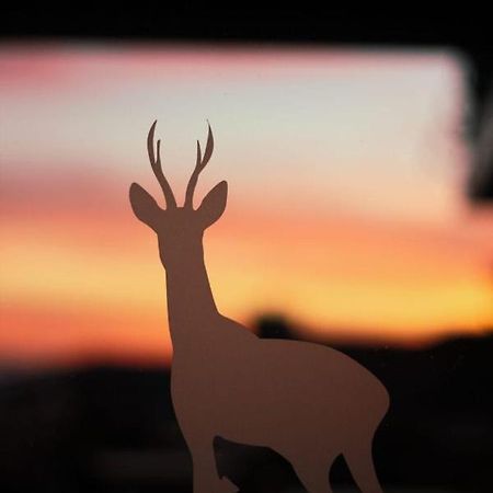 Corzo Hotel セルセディリャ エクステリア 写真