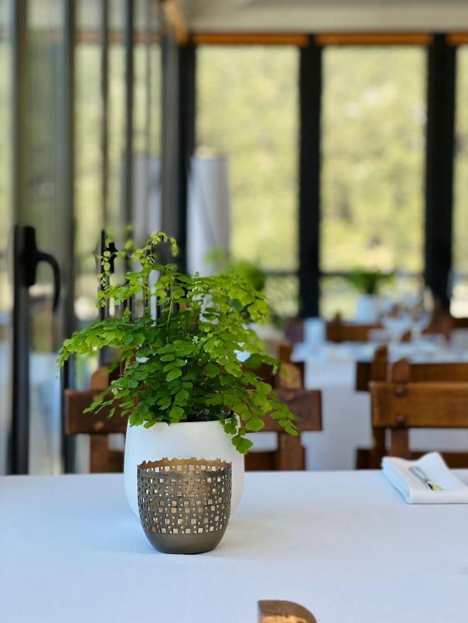 Corzo Hotel セルセディリャ エクステリア 写真